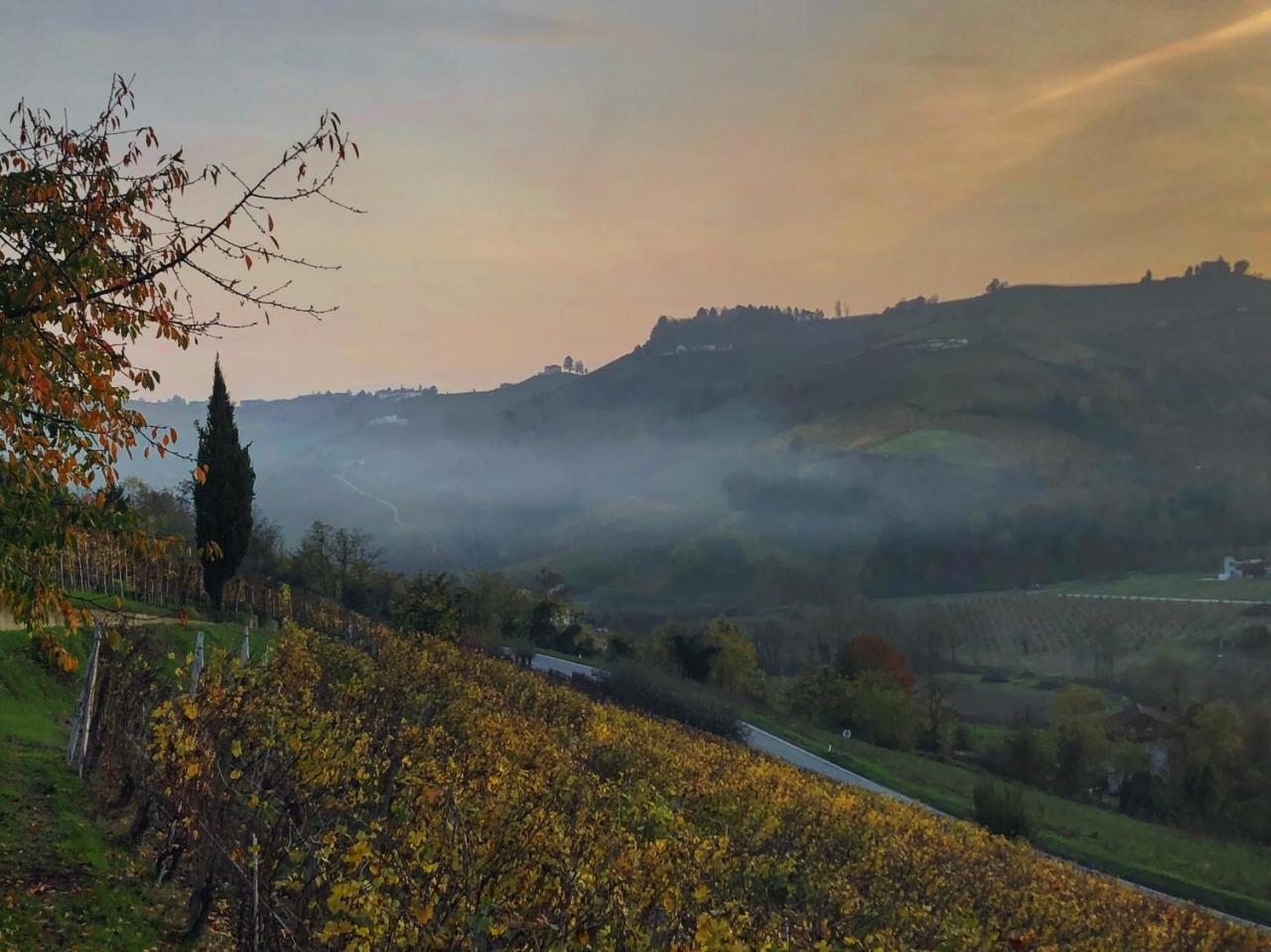 Panoramic Villa Garassino - Country Rooms And Fine Restaurant 트레이소 외부 사진